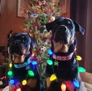 Meet your Posher, Lorraine